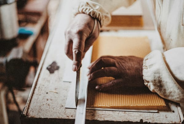 A person carving wood by hand with a chisel